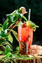 Refreshing cocktail with ice, mint, lemon and strawberries on the background of green leaves. space. close up. Royalty Free Stock Photo