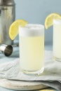 Refreshing Cold Egg Gin Fizz Royalty Free Stock Photo