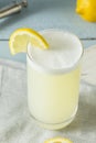 Refreshing Cold Egg Gin Fizz Royalty Free Stock Photo