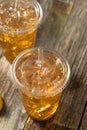 Refreshing Cold Iced Tea Royalty Free Stock Photo