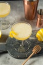 Refreshing Cold Lemon Bees Knees Cocktail Royalty Free Stock Photo