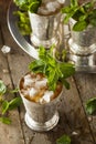 Refreshing Cold Mint Julep Royalty Free Stock Photo