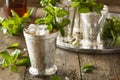 Refreshing Cold Mint Julep Royalty Free Stock Photo