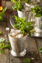 Refreshing Cold Mint Julep Royalty Free Stock Photo