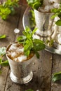 Refreshing Cold Mint Julep Royalty Free Stock Photo