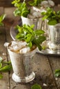 Refreshing Cold Mint Julep Royalty Free Stock Photo
