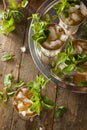 Refreshing Cold Mint Julep Royalty Free Stock Photo