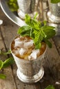 Refreshing Cold Mint Julep Royalty Free Stock Photo