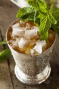 Refreshing Cold Mint Julep Royalty Free Stock Photo