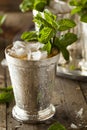 Refreshing Cold Mint Julep Royalty Free Stock Photo