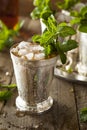 Refreshing Cold Mint Julep Royalty Free Stock Photo