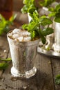 Refreshing Cold Mint Julep Royalty Free Stock Photo