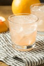 Refreshing Cold Sparkling Grapefruit Water Royalty Free Stock Photo