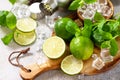 Refreshing cold summer Mojito cocktail making. Mint, lime, ice ingredients and bar utensils o. Royalty Free Stock Photo