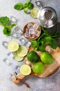 Refreshing cold summer Mojito cocktail making. Mint, lime, ice ingredients and bar utensils on a stone or concrete table. Royalty Free Stock Photo