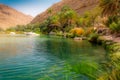 The refreshing cold water of the oasis of Wadi Bani Khalid in Om Royalty Free Stock Photo