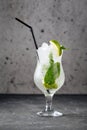 Refreshing cool mojito cocktail with mint leaves