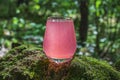 Refreshing cool summer lemonade from strawberry, raspberries, grapefruit or red currants. Pink cocktail drink in glass outdors on