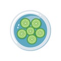 Refreshing Cucumber Slices in Water