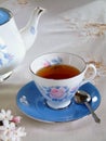 Refreshing Cup of Tea Royalty Free Stock Photo