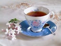 Refreshing Cup of Tea Royalty Free Stock Photo