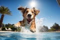 Refreshing Dog jump in pool. Generate Ai Royalty Free Stock Photo