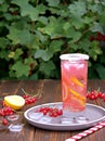 Refreshing drink, homemade lemonade with red currants and ice cubes in a glass Royalty Free Stock Photo