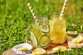 Refreshing drink with lemon and lime in special jars with straws on a wooden stand, shot in the morning on the green grass. Royalty Free Stock Photo