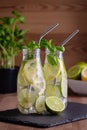 Refreshing drink or water with citrus fruits lemon and lime and basil herb in mason jar with reusable metal straws