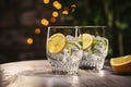 Refreshing duo Glasses filled with the perfect blend of gin and tonic