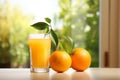 Refreshing glass of citrus orange juice and fresh oranges in a beautiful natural setting Royalty Free Stock Photo