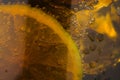 Refreshing glass of cola with lemon and ice Royalty Free Stock Photo