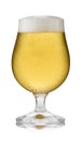 A refreshing glass of lager, in a schooner glass, with condensation