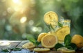 Refreshing Glass of Lemonade With Mint and Lemon Slices Royalty Free Stock Photo