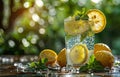 Refreshing Glass of Lemonade With Mint and Lemon Slices Royalty Free Stock Photo