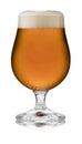 A refreshing glass of traditional ale, in a schooner glass, with condensation