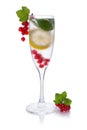 Refreshing glass of water with lemon Red currant isolated ,in a glass for champagne Royalty Free Stock Photo