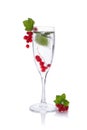 Refreshing glass of water with Red currant isolated in a glass for champagne Royalty Free Stock Photo