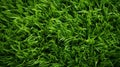 Refreshing Green Grass Background and Texture AI Generated