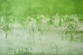 Refreshing Green Texture Wall Background with Natural Textures and Organic Patterns