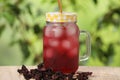 Refreshing hibiscus tea with ice cubes in mason jar and dry roselle flowers on wooden table against blurred green background Royalty Free Stock Photo