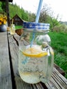 Refreshing homemade lemon drink in garden Royalty Free Stock Photo