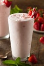 Refreshing Homemade Strawberry Milkshake Royalty Free Stock Photo