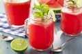 Refreshing Homemade Watermelon Agua Fresca Royalty Free Stock Photo