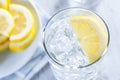 Refreshing Ice Cold Water with Lemon Royalty Free Stock Photo