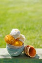 Refreshing ice cream with lemon flavour Royalty Free Stock Photo