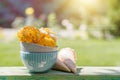 Refreshing ice cream with lemon flavour Royalty Free Stock Photo