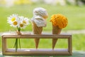 Refreshing ice cream in waffle cones with lemon flavour Royalty Free Stock Photo