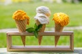 Refreshing ice cream in waffle cones with lemon flavour Royalty Free Stock Photo