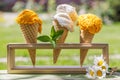 Refreshing ice cream in waffle cones with lemon flavour Royalty Free Stock Photo